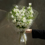 Pure Love - HB03