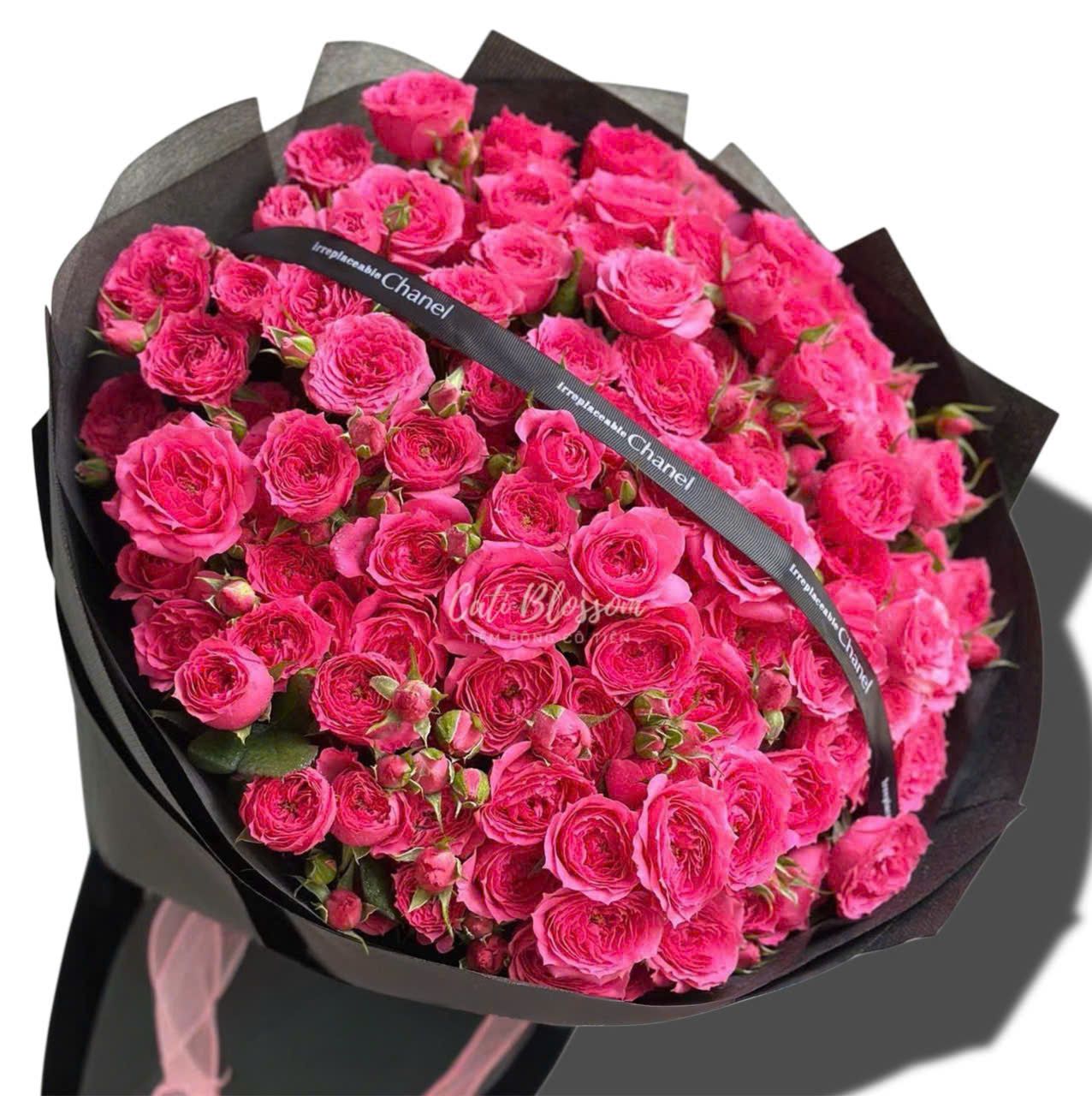 z7824124630177_4137175798beadea18d524de1dc4f506 Sophia Va Em - BH39 - Ảnh 1