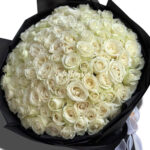 White Rose - HB09