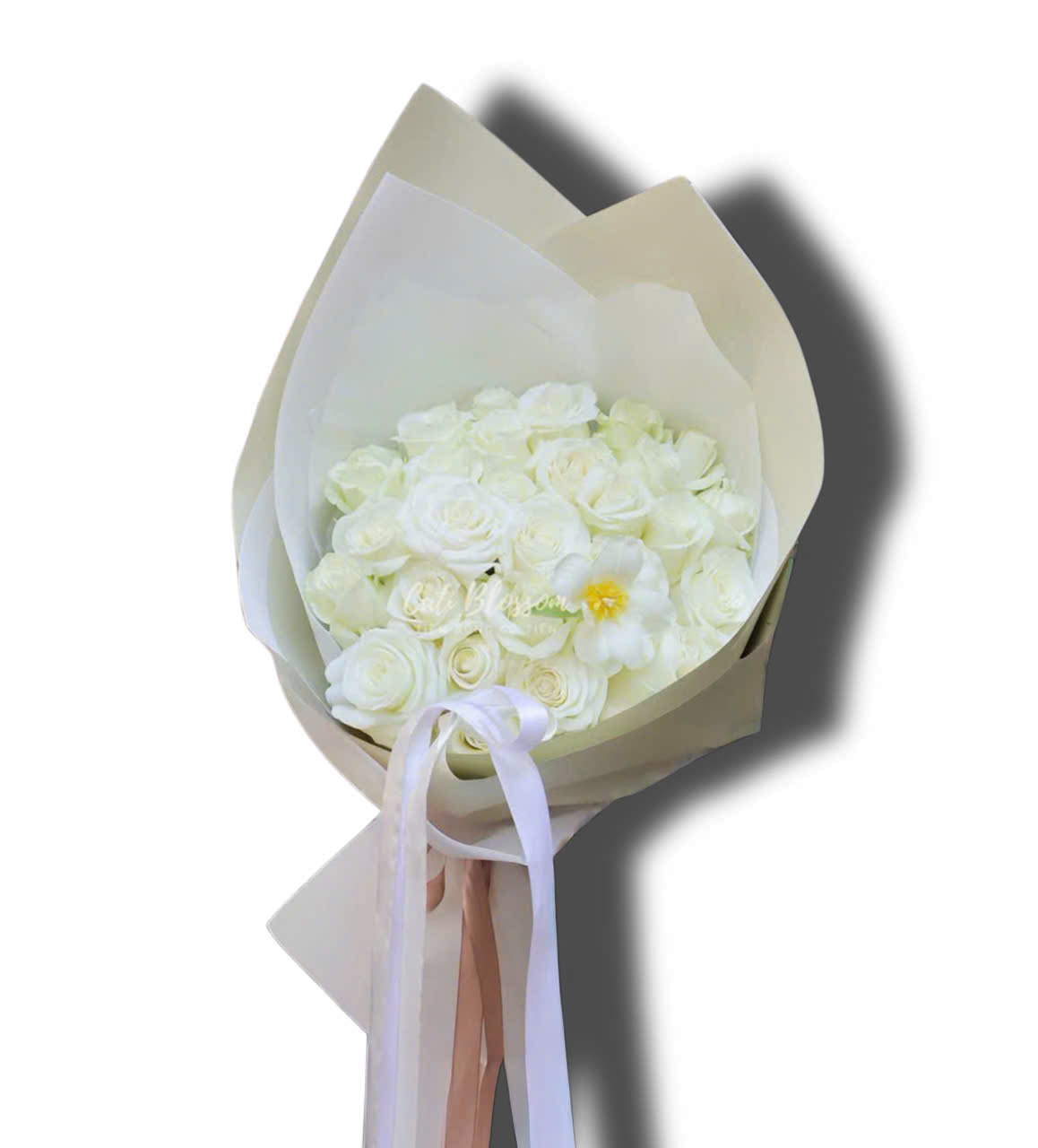 z7824124684027_18ad9eadce48ef94294e09628b85e492 Hoa Và Em - BH22 - Ảnh 1
