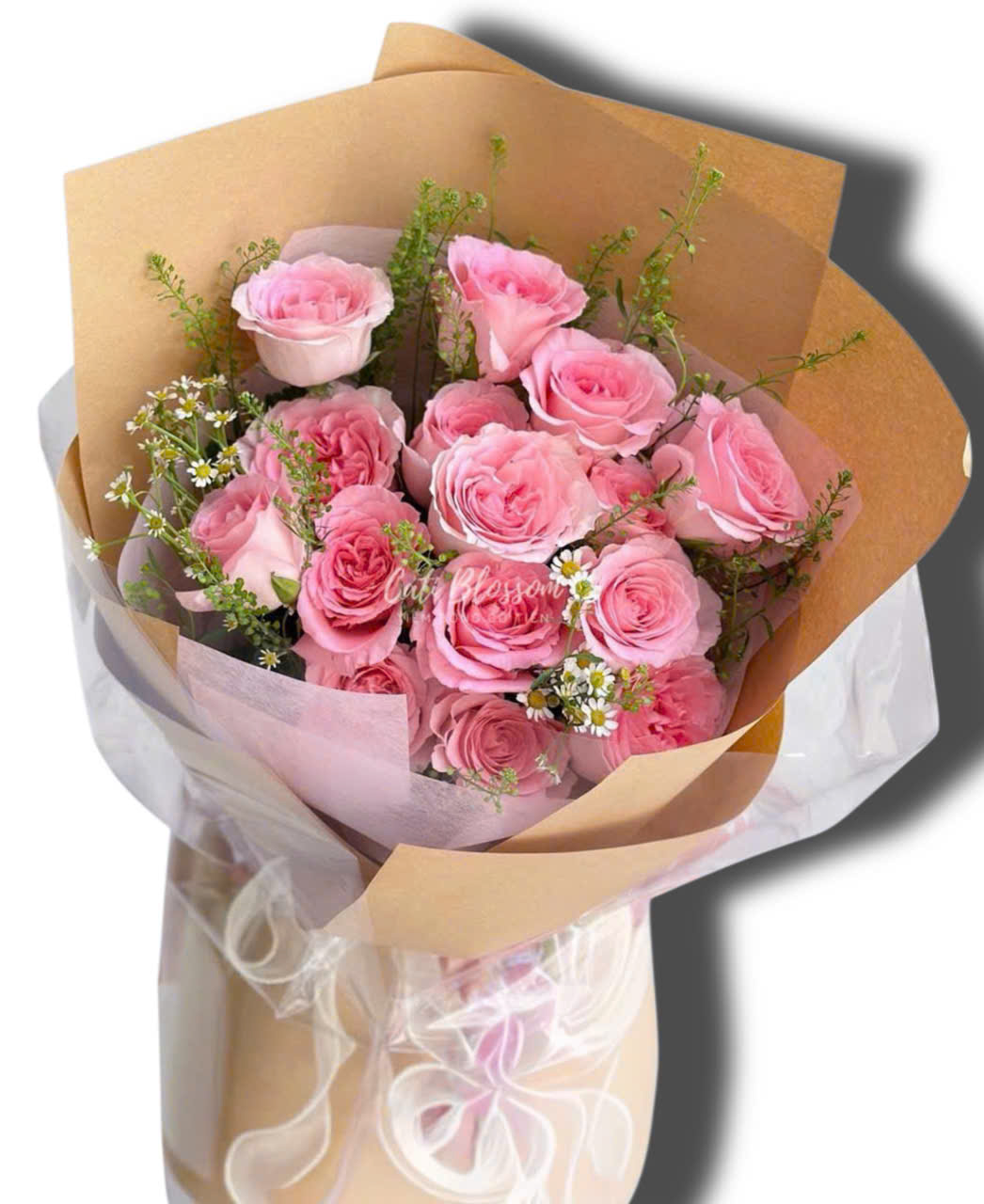 z7824177190407_6a120c16c6b67cd3ec34f75d0c045634 Ngây Thơ - BH33 - Ảnh 1