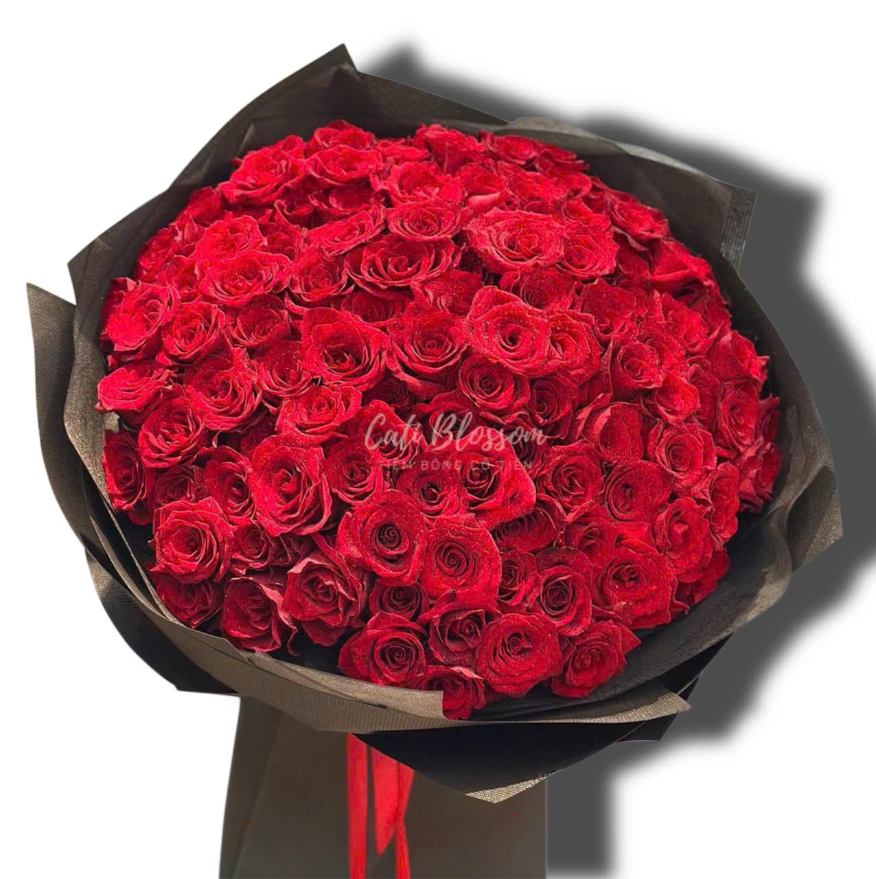 z7824362188092_695645ce3c6599b41cbcce64e178c484 Dear You - BH30 - Ảnh 1