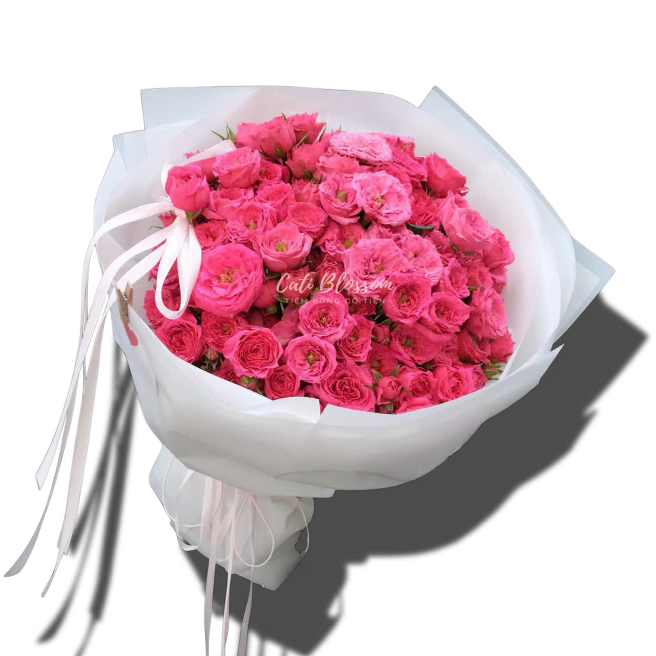 z7824376137568_240812da9287504c716b1e7705fd512c Happy Bloom - BH20 - Ảnh 1