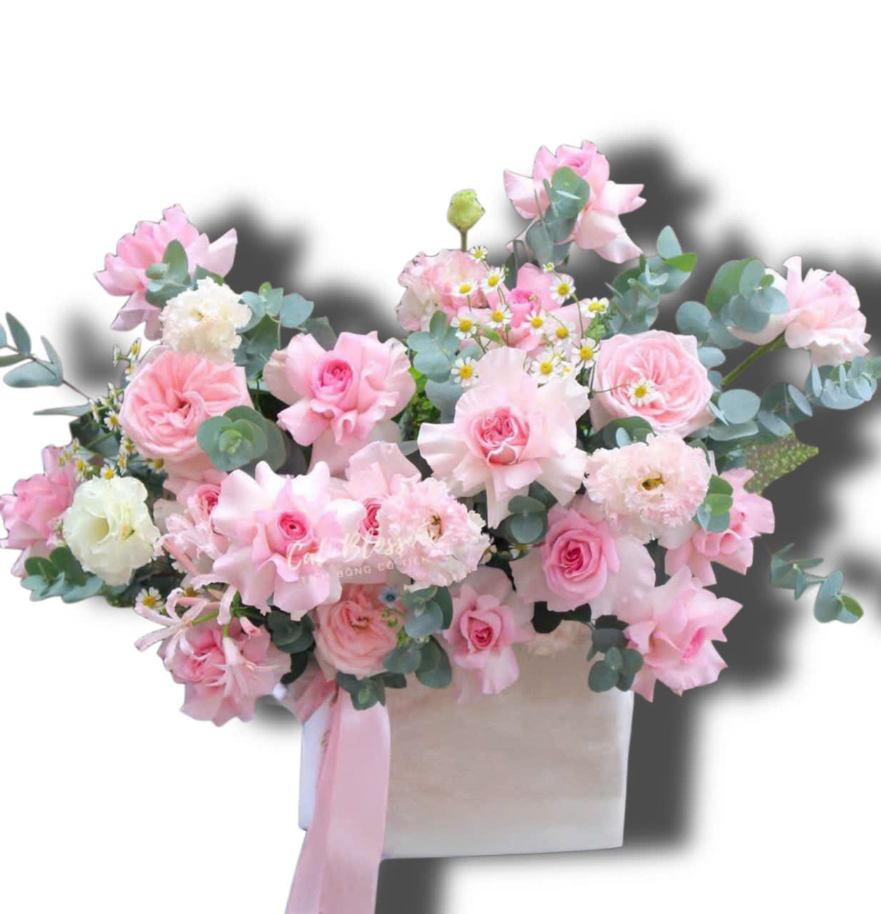 z7824427210980_75a3fd36e5c562e03c0610774ebe9b2f Ngọt Ngào - HH02 - Ảnh 1