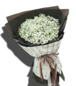 Baby White - BH12 - Ảnh 2