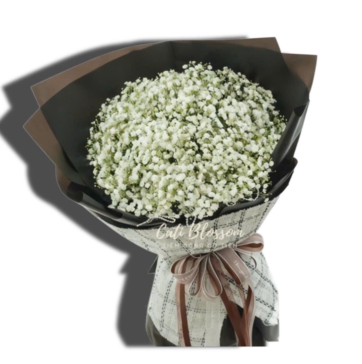 z7824444376056_ed23004b6741c3b4fb2cac26aa004599 Baby White - BH12 - Ảnh 1