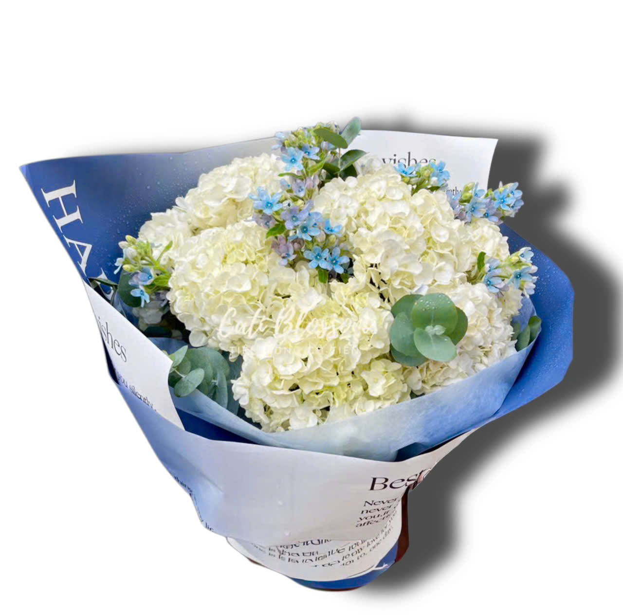z7824511631766_10e7af516b5aaa4b8c67c7693433bd76 Sương Mai - BH45 - Ảnh 1