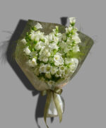 Pure Love - HB03