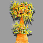 Mừng Thành Công - CM01