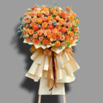 Thành Công Rực rỡ - CM02