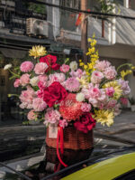 Ruby Sunrise - GH11 - Ảnh 3