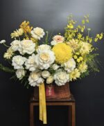 Sunny Day - GH10 - Ảnh 2