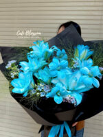 Blue Velvet - BH76 - Ảnh 4