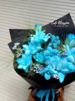 Blue Velvet - BH76 - Ảnh 2