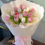 Tulip Muse - BH87