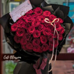 Shadow Romance - BH90