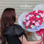 Rosy Dream - BHL16