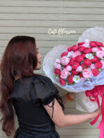 Rosy Dream - BHL16