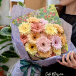 Gerbera Daisy - BHL15