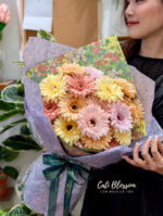 Gerbera Daisy - BHL15