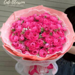 Pink Perfection - BHL22