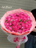 Pink Perfection - BHL22
