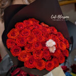 French Red - BH933