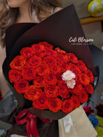 French Red - BH933