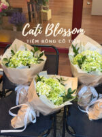 Tú Cầu - BH94