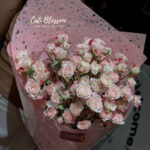 Spray rose - BH95