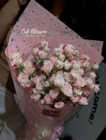 Spray rose - BH95